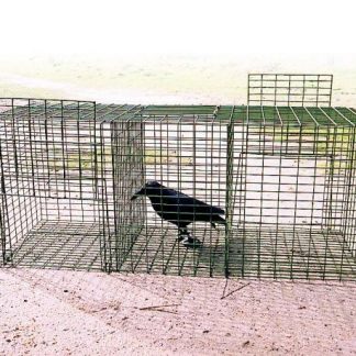 Cage à rats - Astrid de Sologne, Miradors et aménagement du territoire
