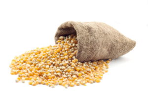 Aliment Maïs (sac de 25 kg)