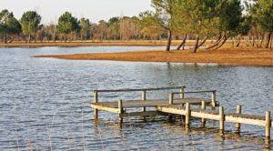 Ponton