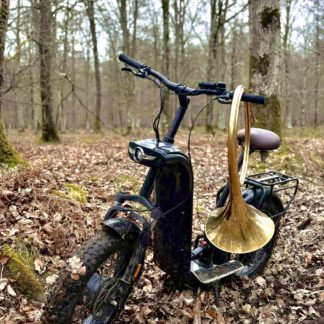 Trottinette électrique tout-terrain avec roues FAT, double suspension, 2 moteurs 750 W, autonomie 90 km et design personnalisable.