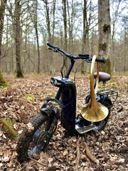 Trottinette électrique tout-terrain avec roues FAT, double suspension, 2 moteurs 750 W, autonomie 90 km et design personnalisable.