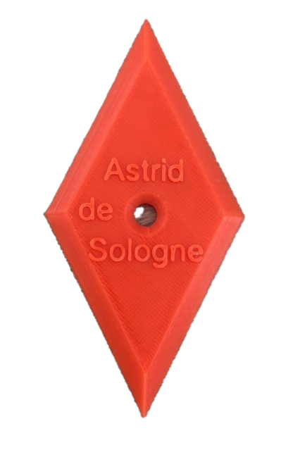 Lot de losanges de signalisation à fixer sur les arbres, pour marquer chemins, angles de tir ou zones de danger.