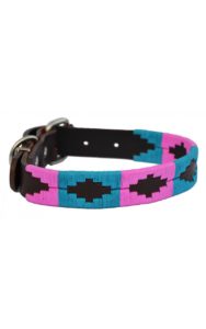 Collier Fluo en cuir pour chien