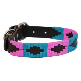 Collier Fluo en cuir pour chien, couleur vive et design robuste