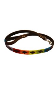 Laisse Arcos Iris en cuir pour chien