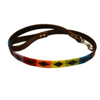 Laisse Arcos Iris en cuir pour chien, couleur naturelle, avec mousqueton métallique robuste.