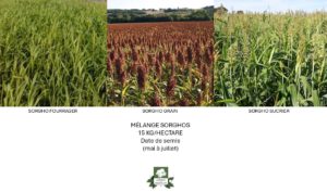 Mélange Sorghos 15kg