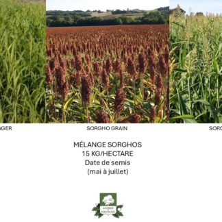 Champs montrant trois variétés de sorgho : sorgho fourrager, sorgho grain rouge et sorgho sucrier, illustrant le mélange pour un sac de 15kg.