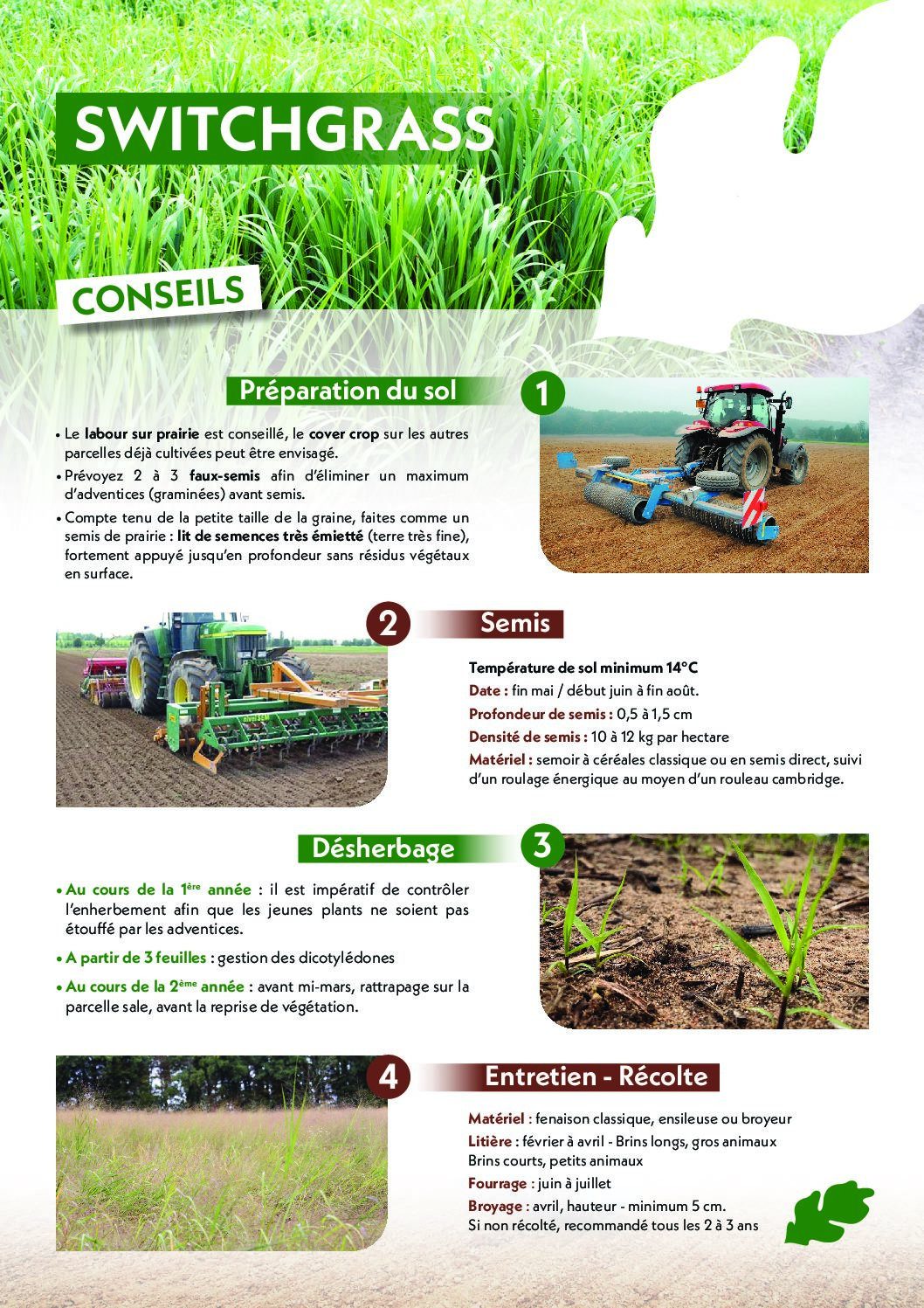 A4_conseilsSWITCHGRASS