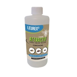 attractif pour piège à insectes